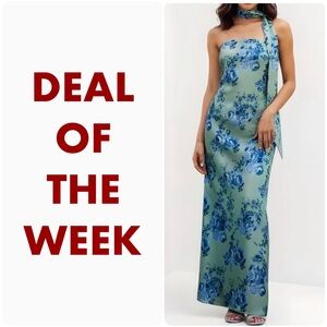BHLDN  Molly Scarf-Neck Strapless Column Maxi Dress, Mint Cabbage Roses, Large